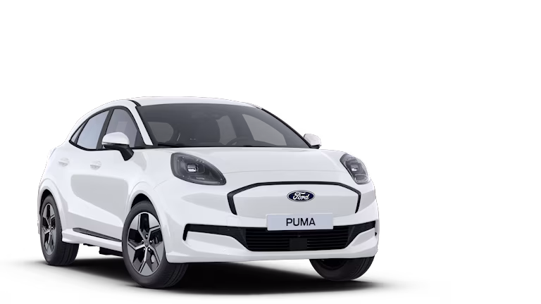 Puma Gen-E Van